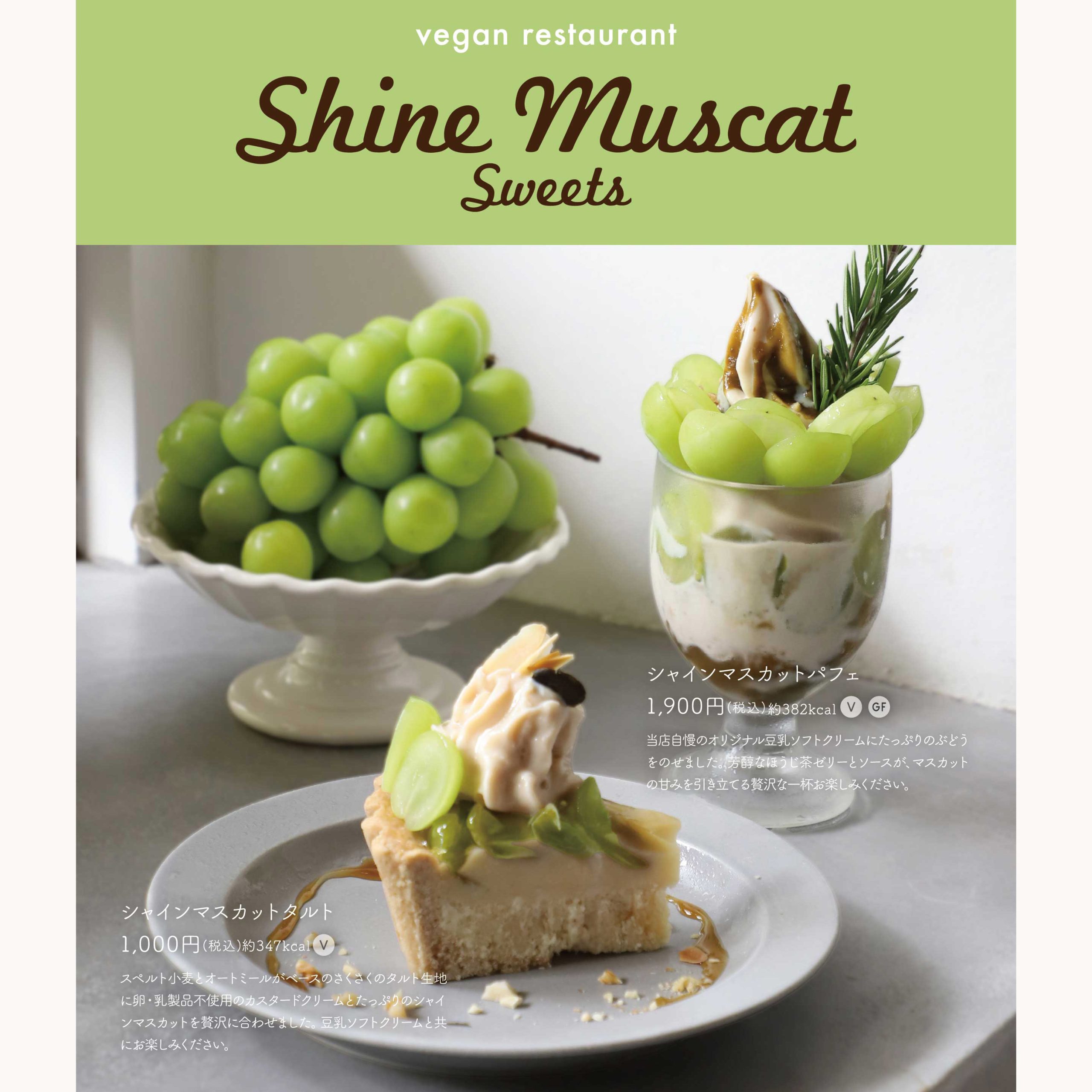 shine_1-1-scaled-1.jpg